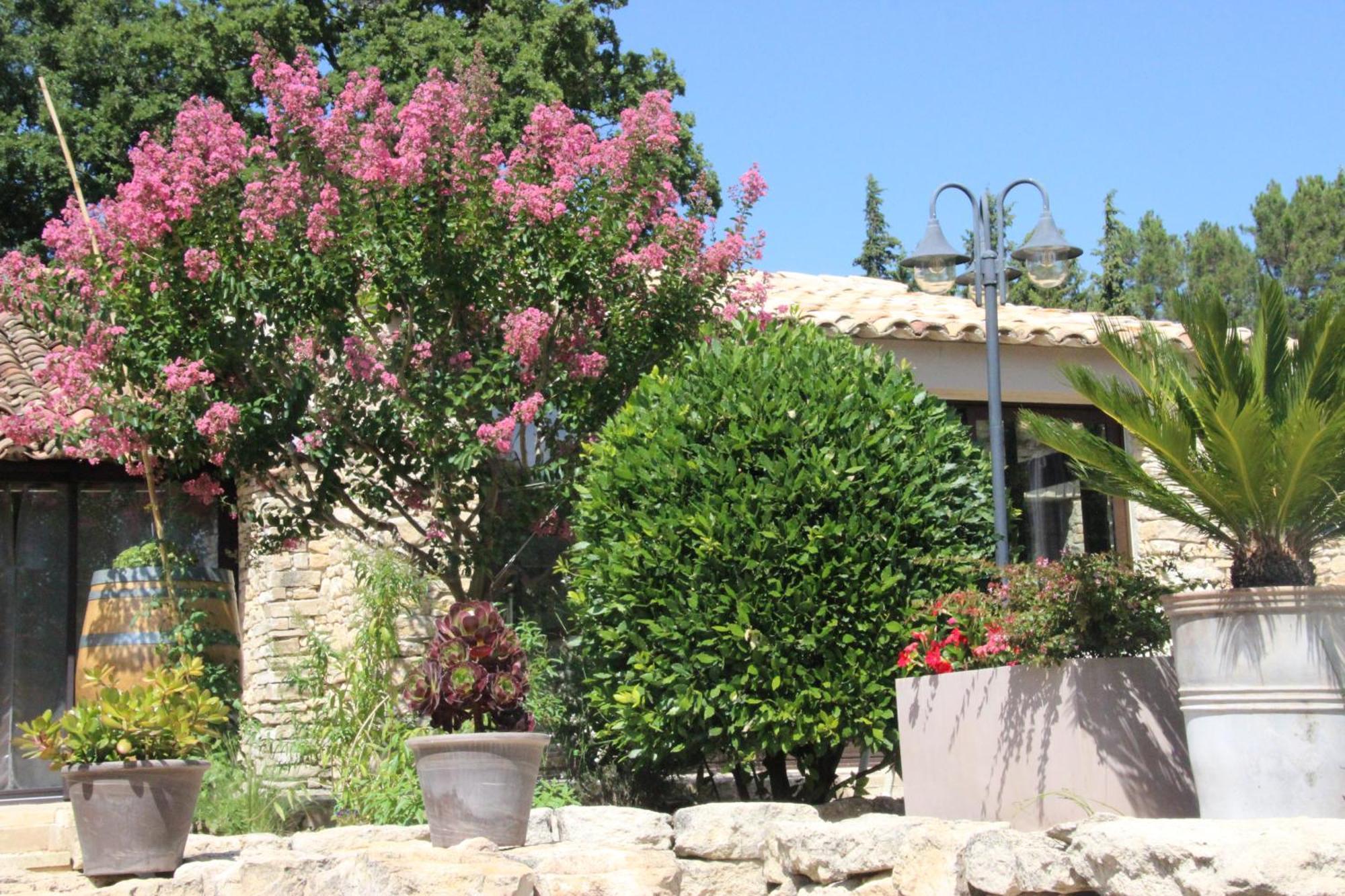 Fleur De Lavande Gordes Kültér fotó