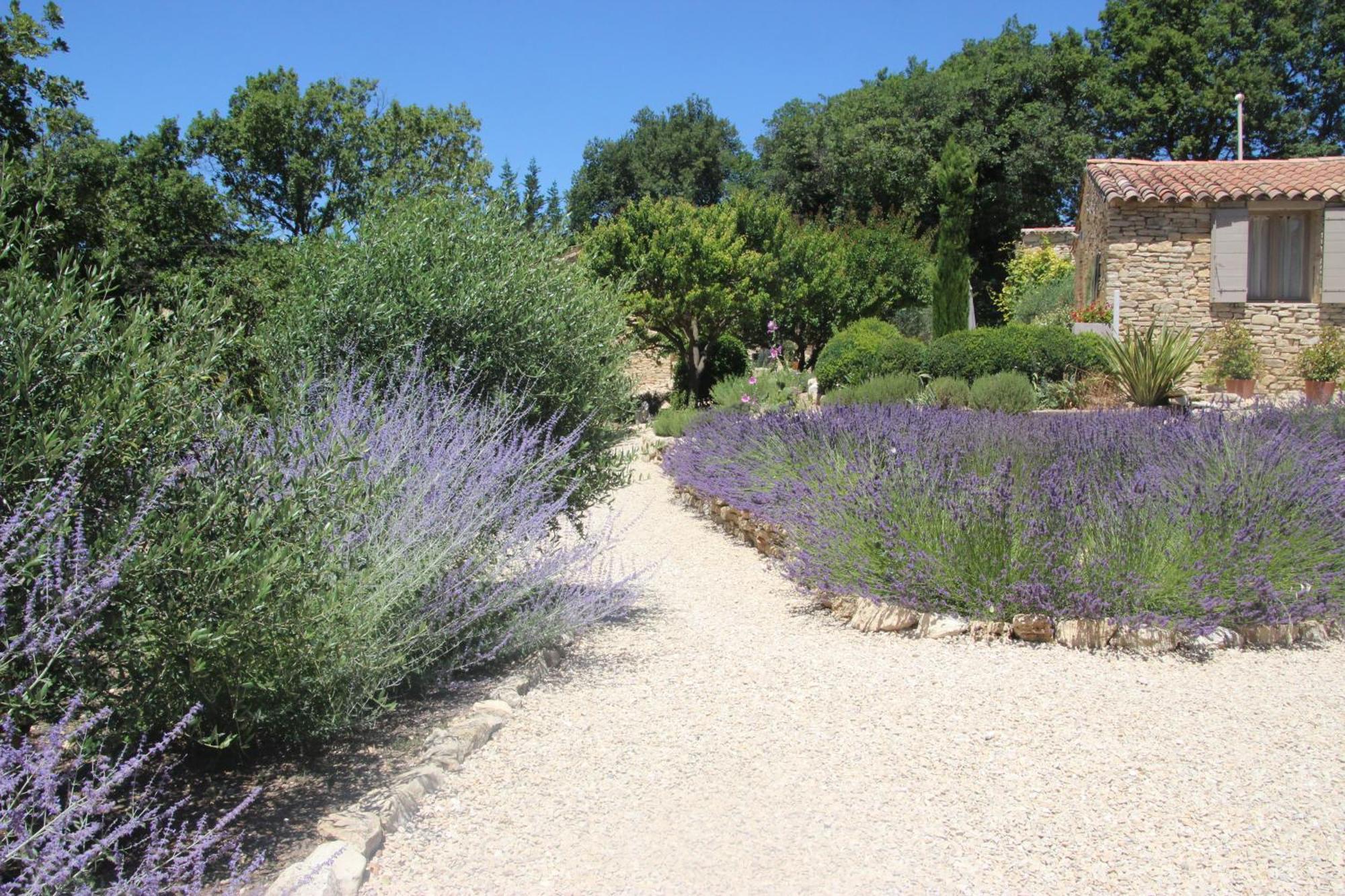Fleur De Lavande Gordes Kültér fotó